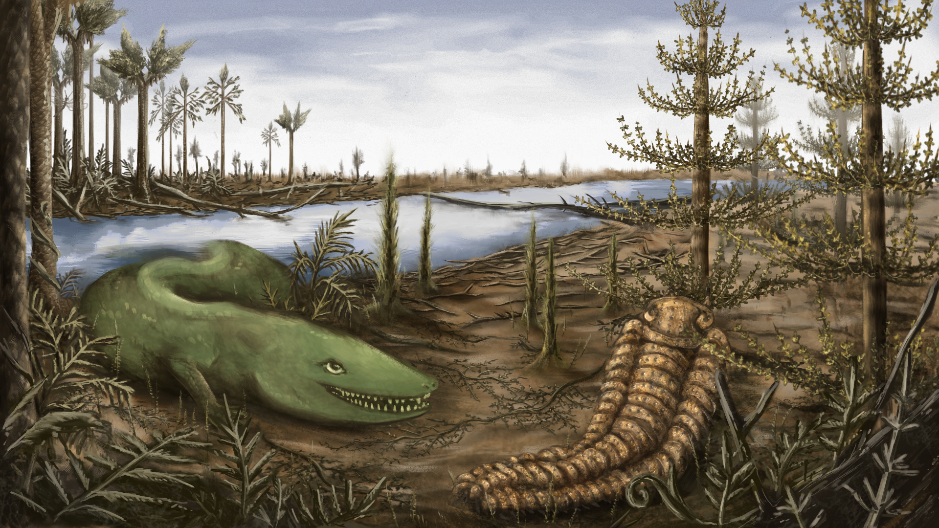 The Great Late Carboniferous